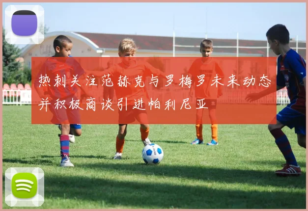 热刺关注范赫克与罗梅罗未来动态并积极商谈引进帕利尼亚